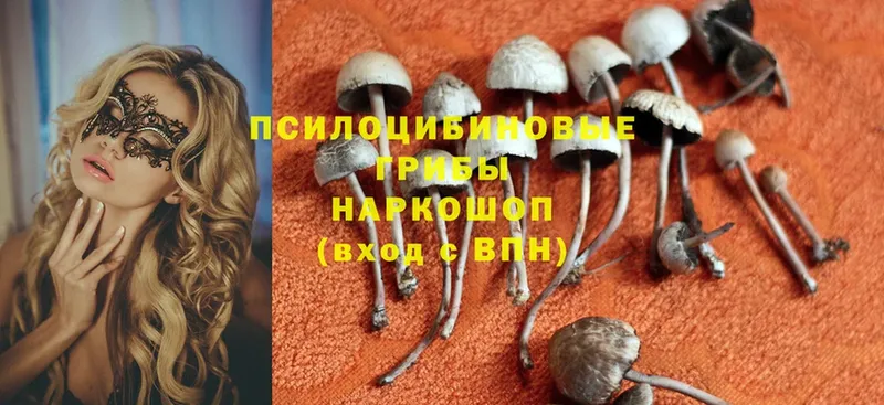 Галлюциногенные грибы MAGIC MUSHROOMS  Барабинск 